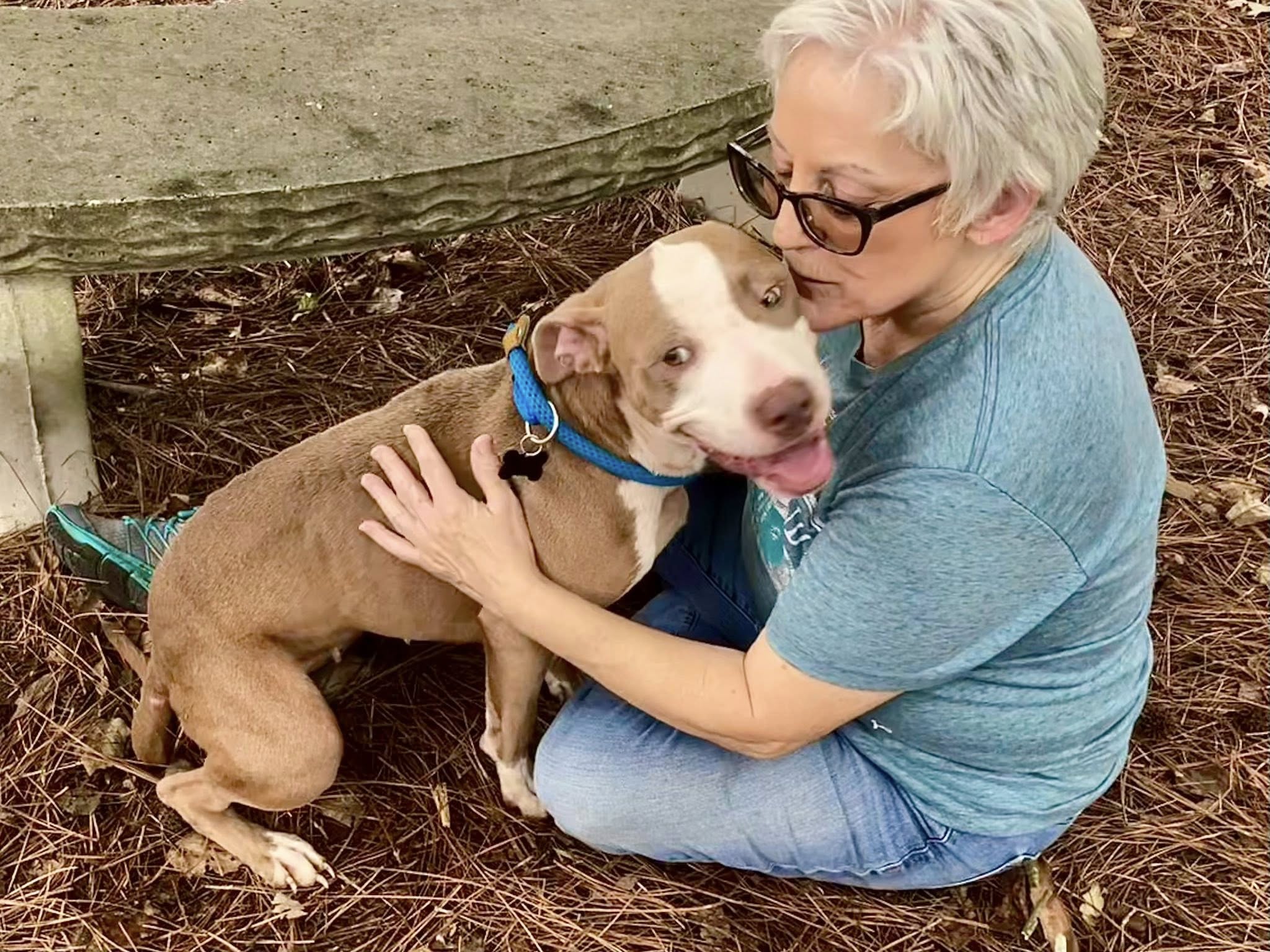 Volunteer caring for a dog at Paws Humane Society